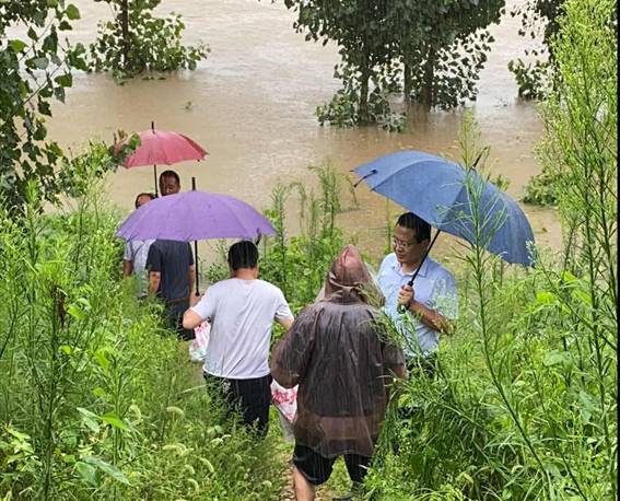 太平街道排查行洪河道隐患4