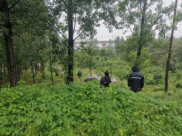 太平街道排查行洪河道隐患3